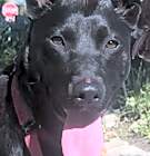 Photo of Handsome Buster