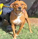 Photo of Matilde