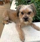Photo of COLBY