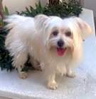 Photo of JORDY
