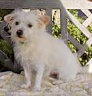 Photo of Randy - 10 pounds