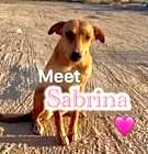 Photo of Sabrina