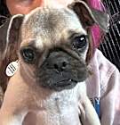 Photo of Gretel