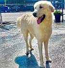 Photo of Brody