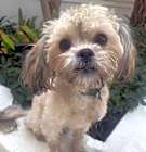 Photo of MAXWELL