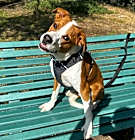 Photo of Mylo