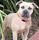 Photo of Athena