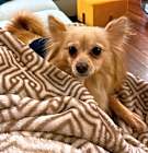Photo of Lyla