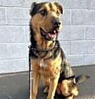 Photo of GAMMA