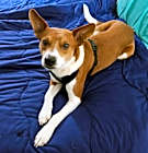 Photo of Pete