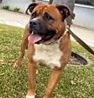 Photo of Uki