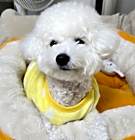Photo of Nana