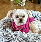 Photo of Bayla