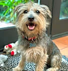 Photo of Romy