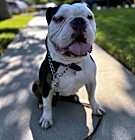 Photo of Hershey