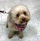 Photo of Mimi