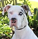 Photo of Turbo