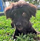 Photo of Monty