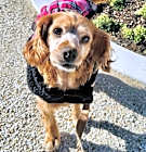 Photo of Elsa