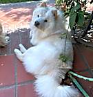 Photo of Marcello
