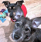 Photo of Winnie and WIla