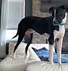 Photo of Bentley