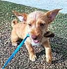 Photo of Benny