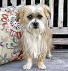 Photo of Valyn