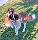 Photo of Lily & Maggie