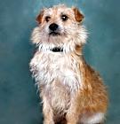 Photo of Chuck