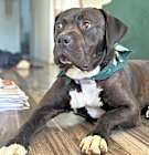 Photo of Oona