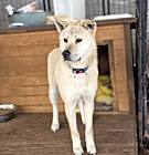 Photo of Dooly