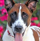 Photo of Zeus