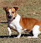 Photo of Burt A