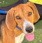 Photo of Zaida