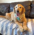 Photo of Sophie