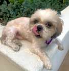 Photo of OBIE