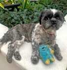 Photo of RYDER