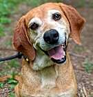 Photo of Oscar