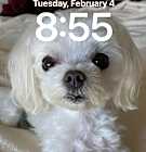 Photo of Bentley