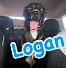 Photo of Logan