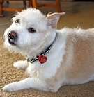 Photo of Theodore