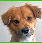 Photo of Zuko