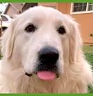 Photo of Bing Bing