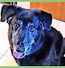 Photo of Snuffles