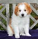 Photo of Martha