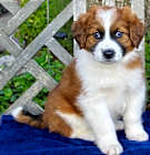 Photo of Betty