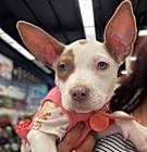Photo of Itty Bitty