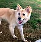 Photo of Foby
