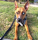 Photo of Patsy